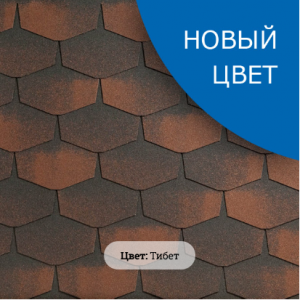 Forte-Tibet-new
