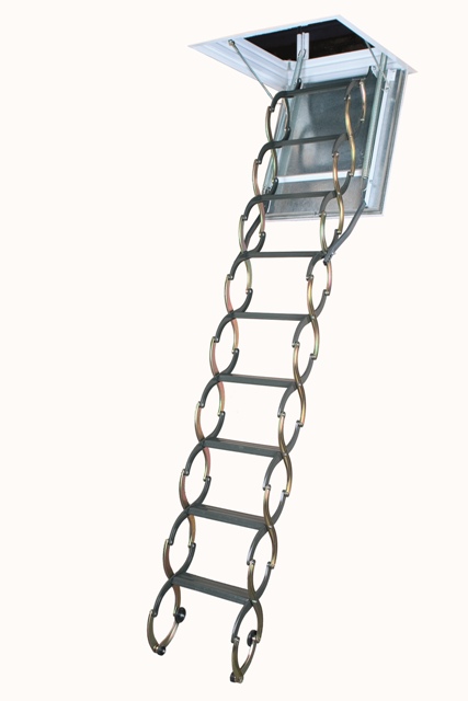 LSF3